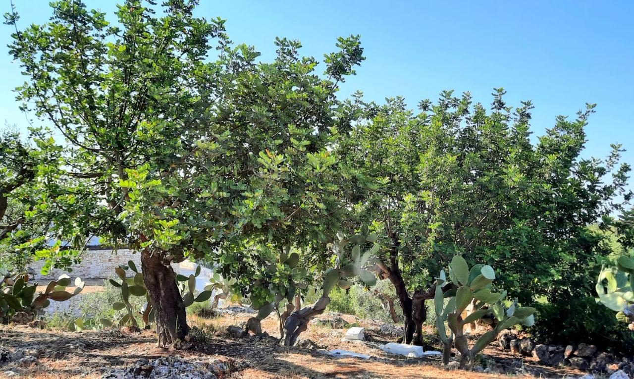הוילה אוסטוני I Due Carrubi מראה חיצוני תמונה