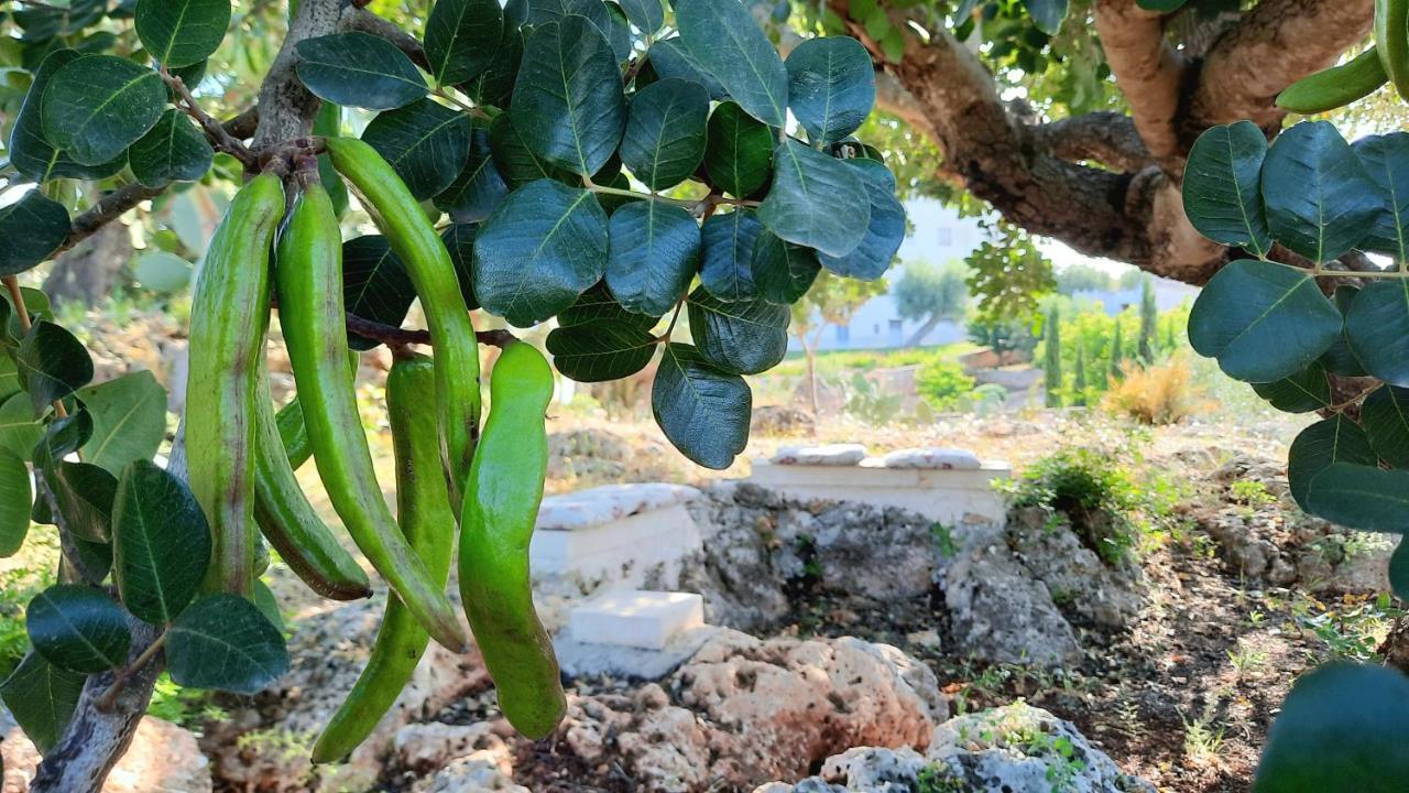 הוילה אוסטוני I Due Carrubi מראה חיצוני תמונה